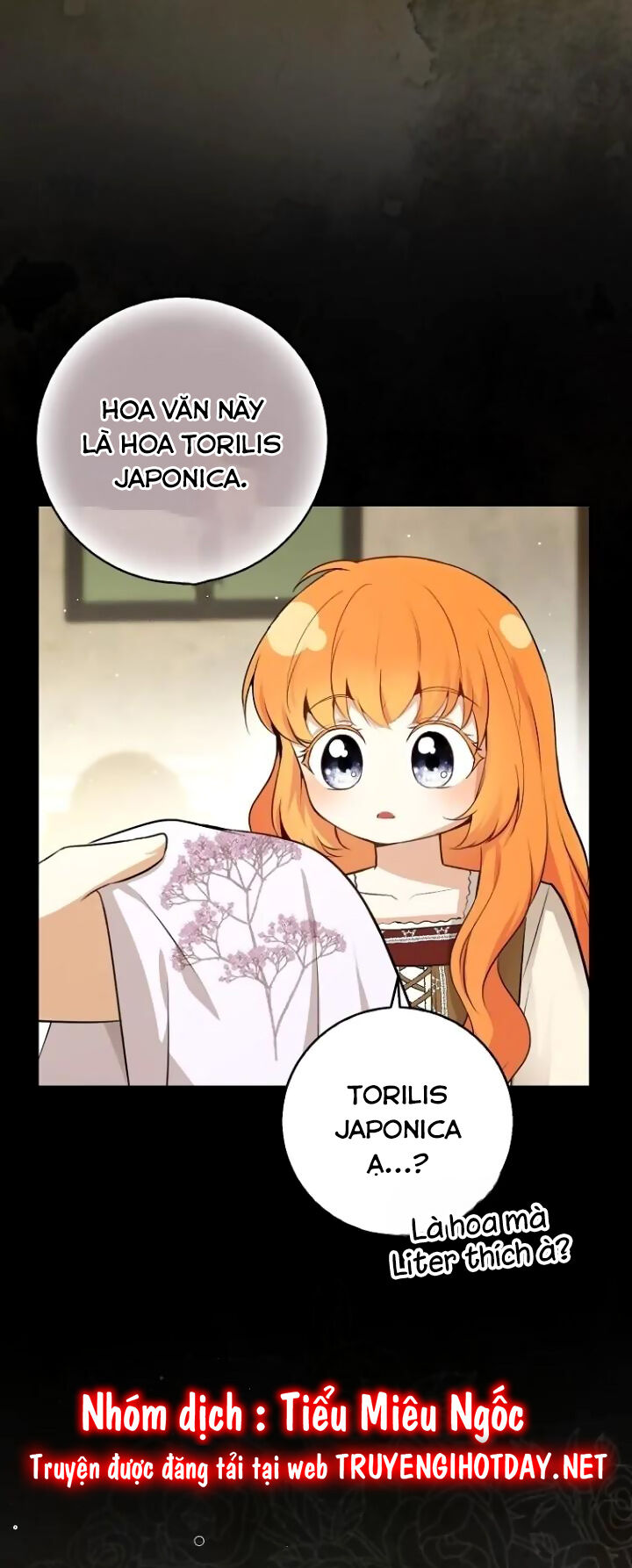 Sóc Nhỏ Tài Năng Chap 64 - Next Chap 65