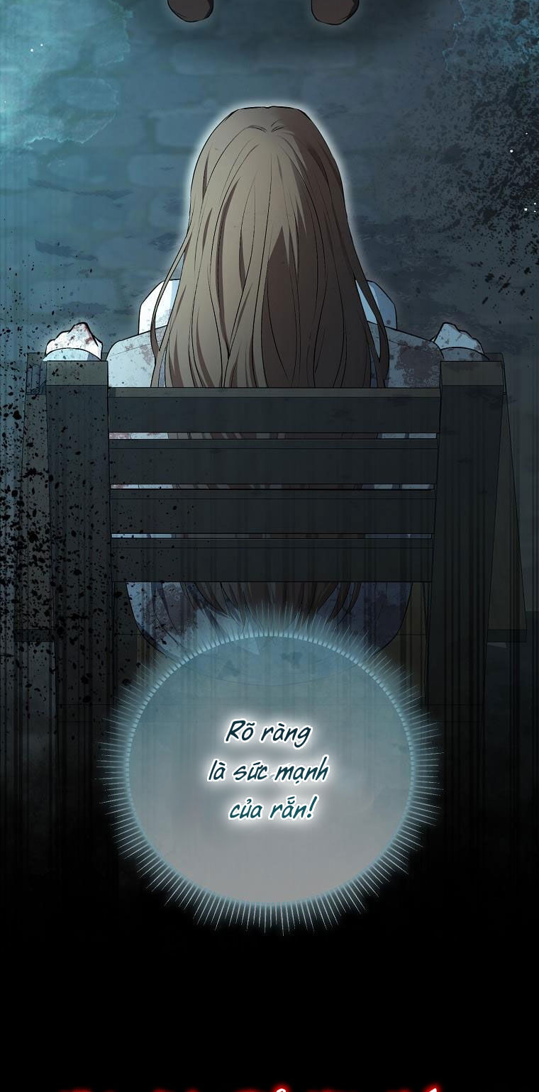 Sóc Nhỏ Tài Năng Chap 66 - Next Chap 67