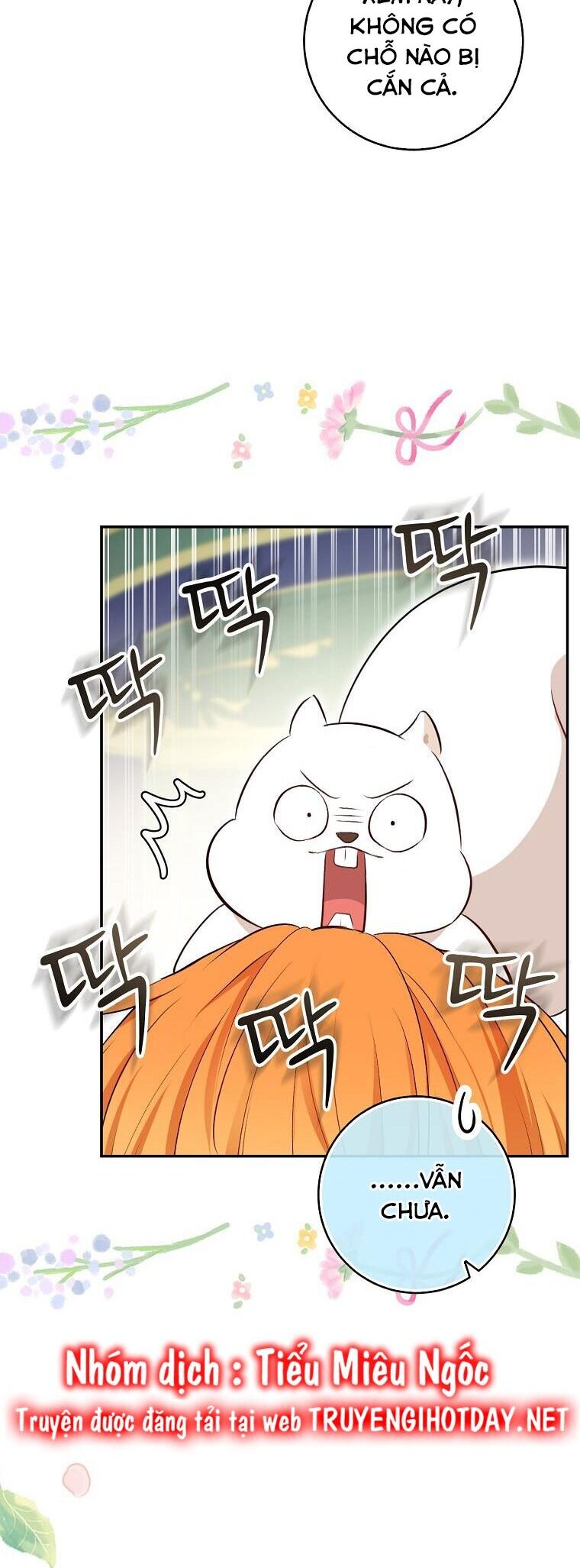 Sóc Nhỏ Tài Năng Chap 67 - Next Chap 68