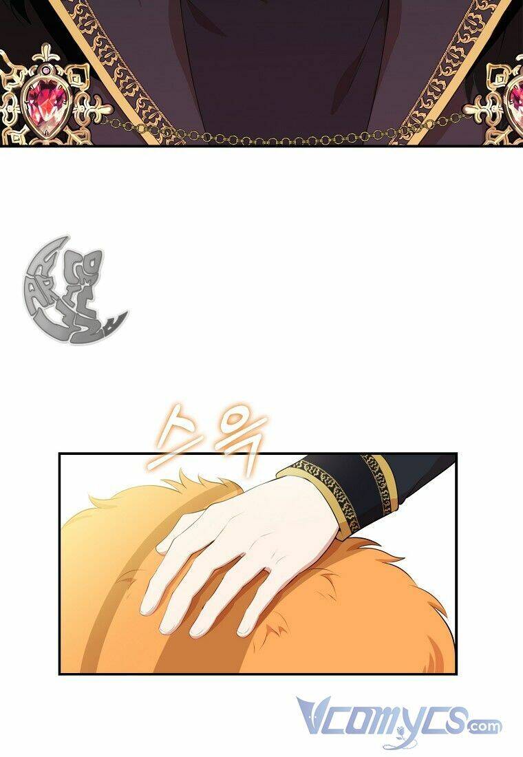Sóc Nhỏ Tài Năng Chap 7 - Next Chap 8
