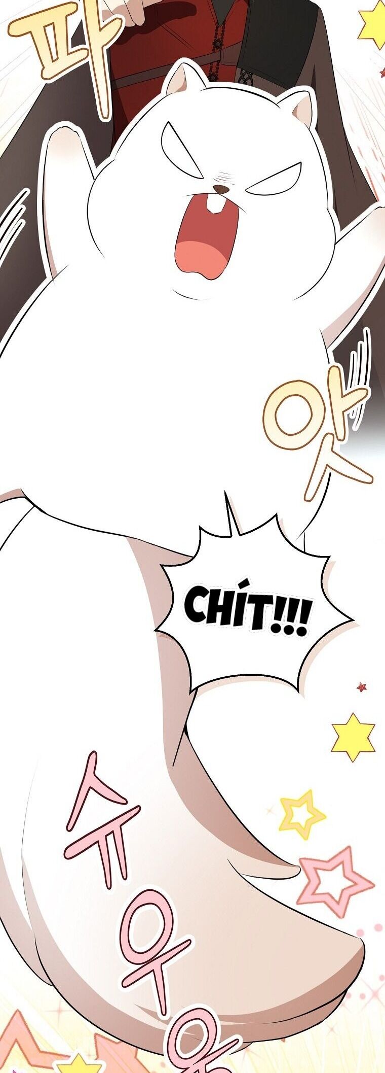 Sóc Nhỏ Tài Năng Chap 70 - Next Chap 71