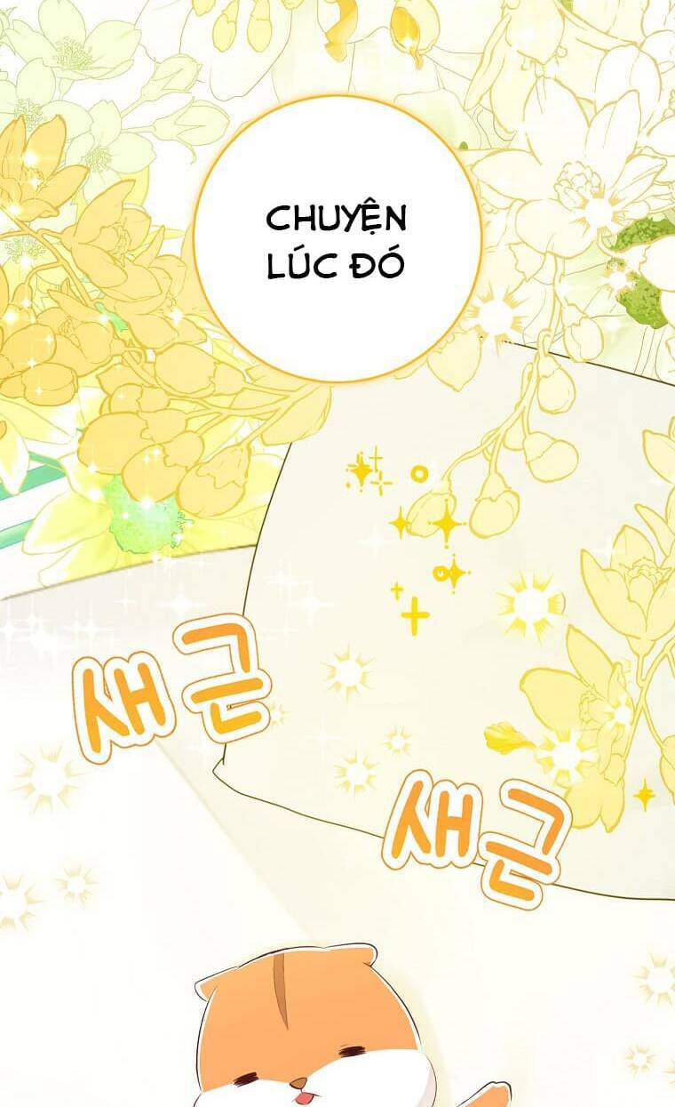 Sóc Nhỏ Tài Năng Chap 72 - Next Chap 73