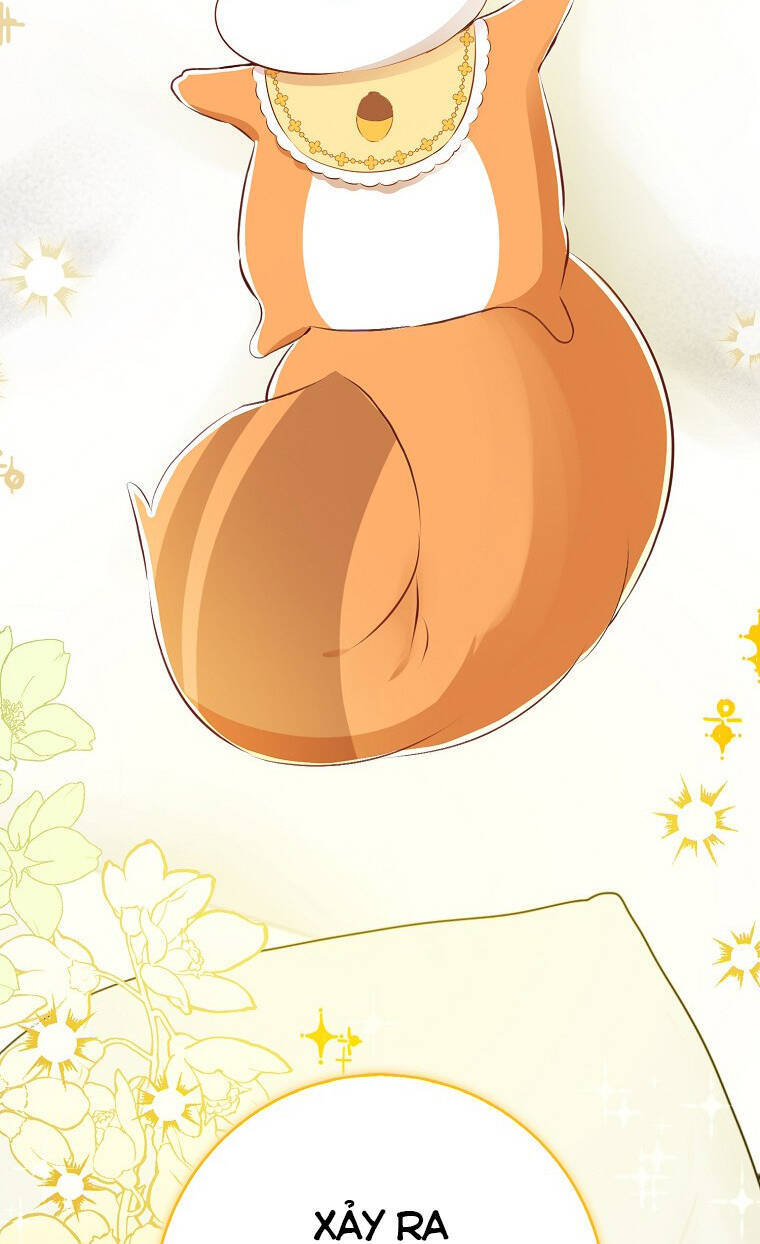 Sóc Nhỏ Tài Năng Chap 72 - Next Chap 73