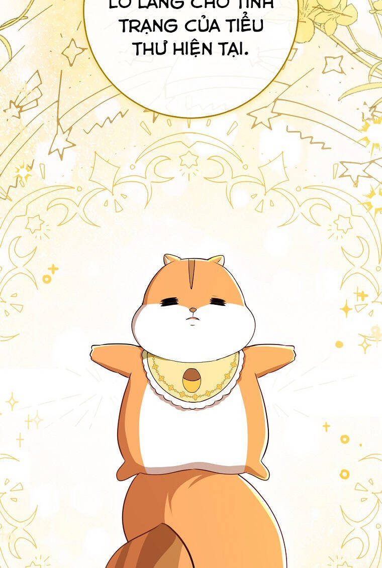 Sóc Nhỏ Tài Năng Chap 73 - Next Chap 74