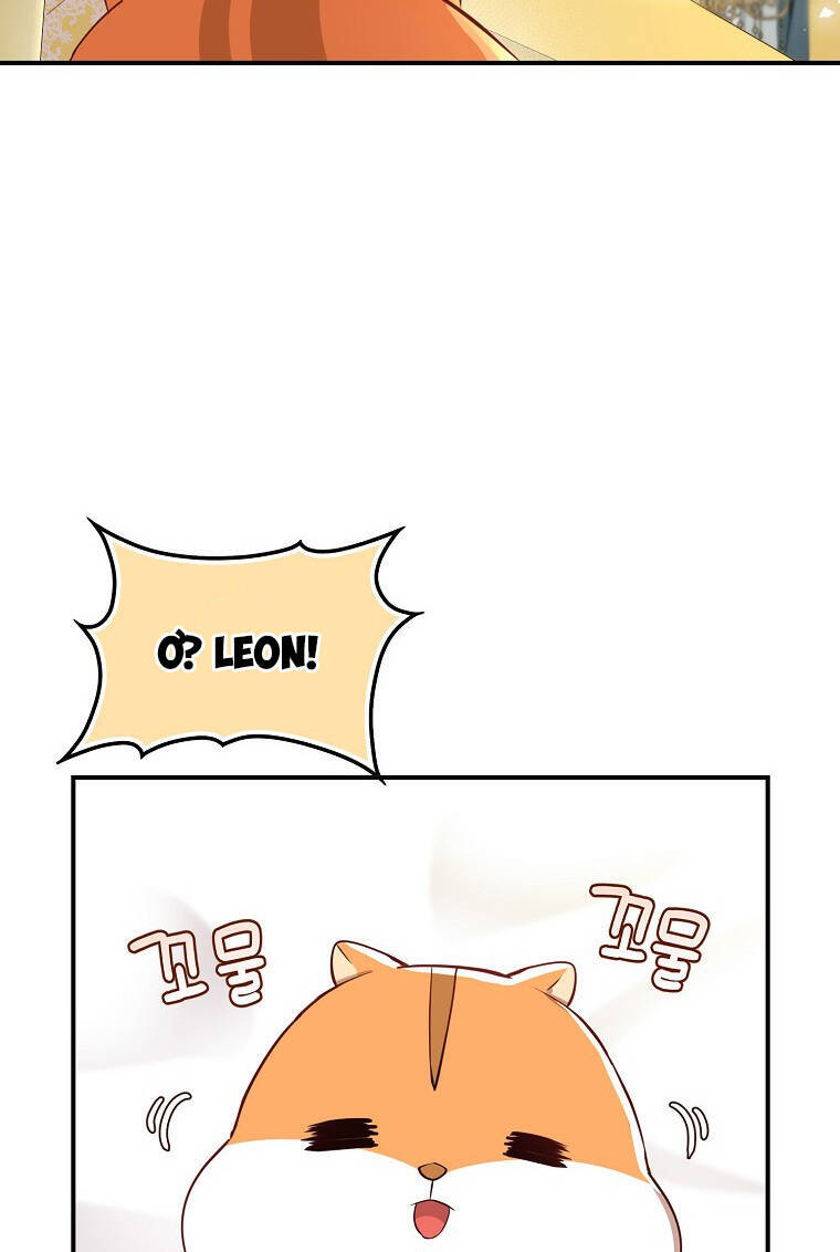 Sóc Nhỏ Tài Năng Chap 73 - Next Chap 74