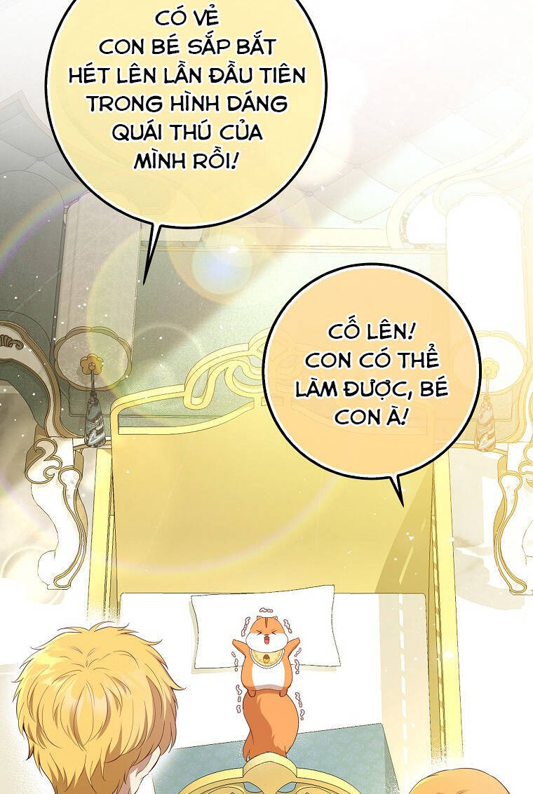 Sóc Nhỏ Tài Năng Chap 73 - Next Chap 74