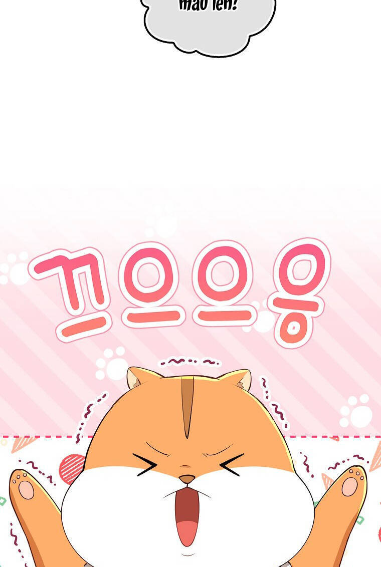 Sóc Nhỏ Tài Năng Chap 73 - Next Chap 74
