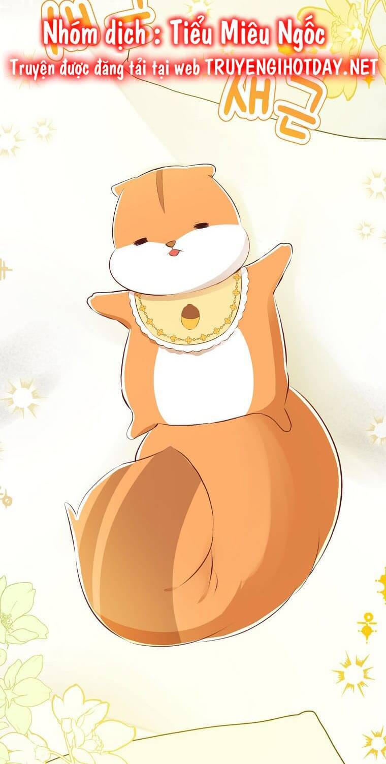 Sóc Nhỏ Tài Năng Chap 73 - Next Chap 74