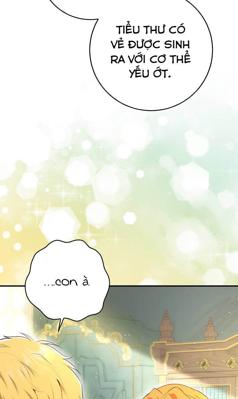Sóc Nhỏ Tài Năng Chap 73 - Next Chap 74