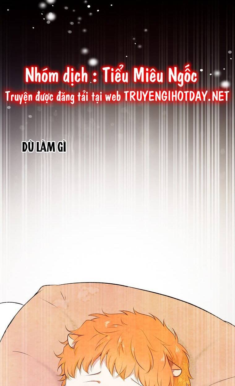 Sóc Nhỏ Tài Năng Chap 73 - Next Chap 74
