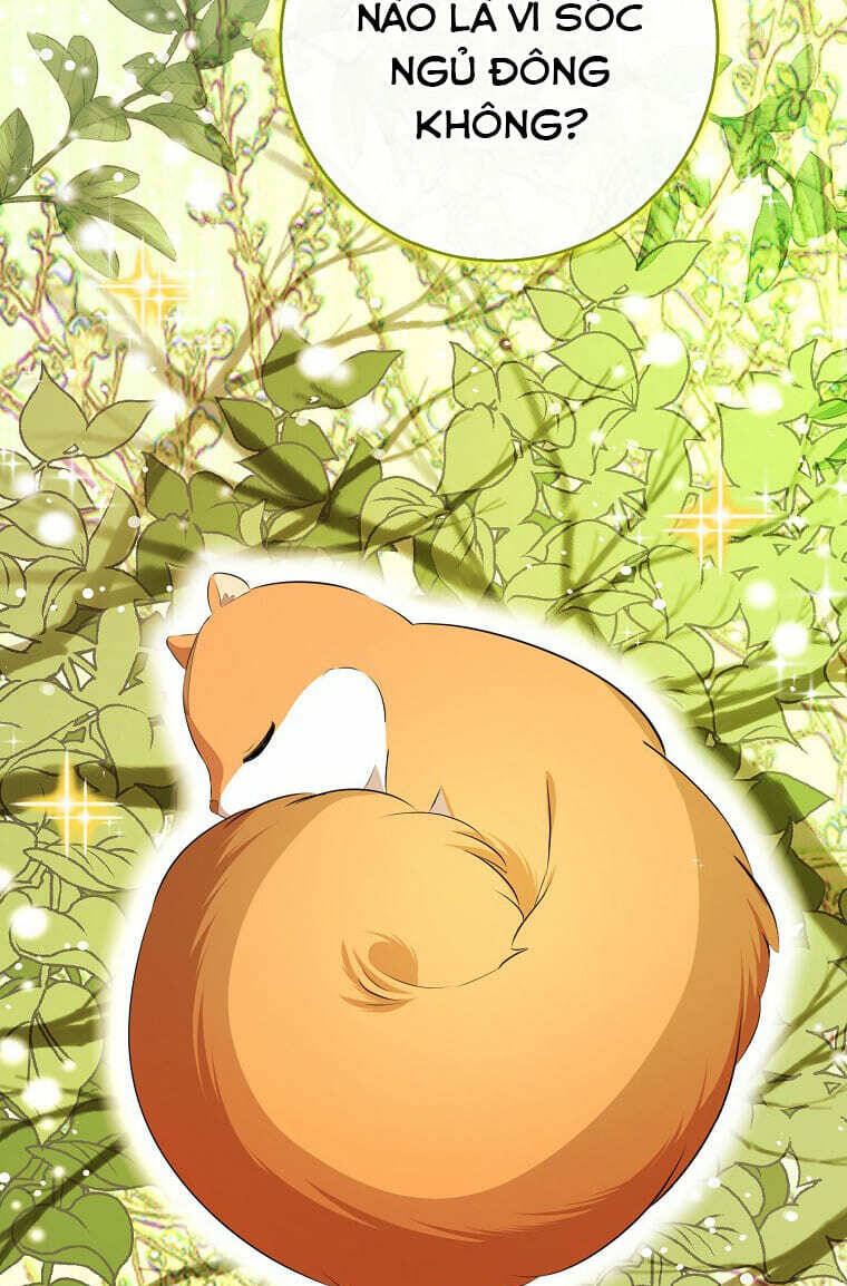 Sóc Nhỏ Tài Năng Chap 73 - Next Chap 74
