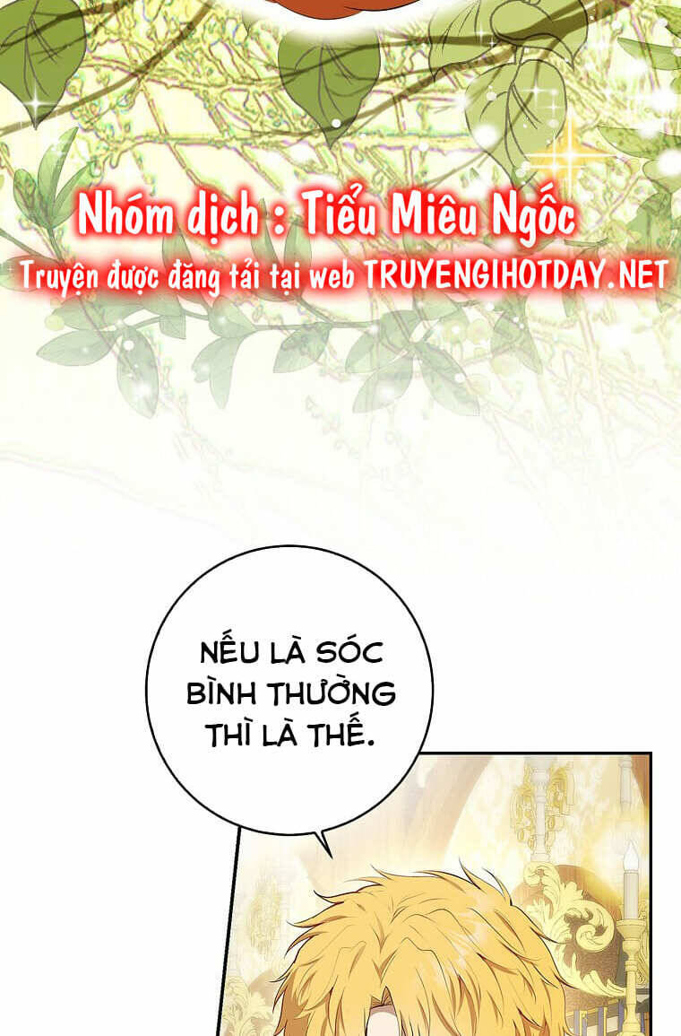Sóc Nhỏ Tài Năng Chap 73 - Next Chap 74