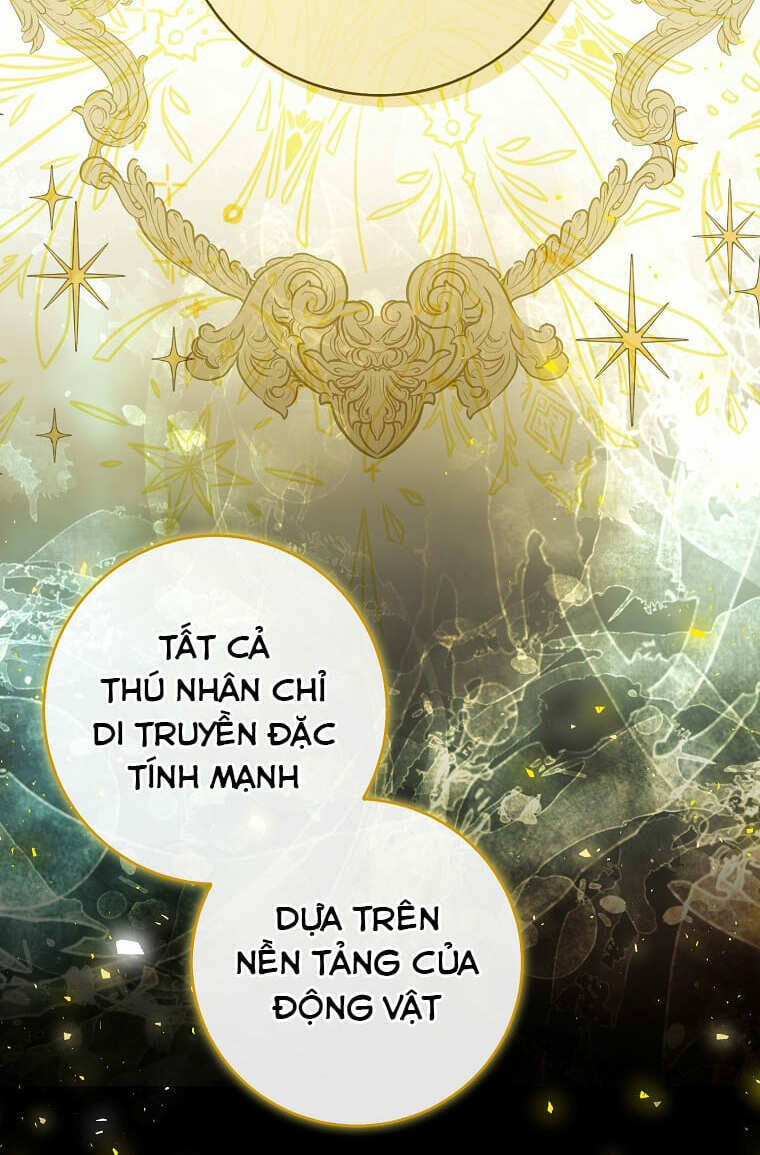 Sóc Nhỏ Tài Năng Chap 73 - Next Chap 74