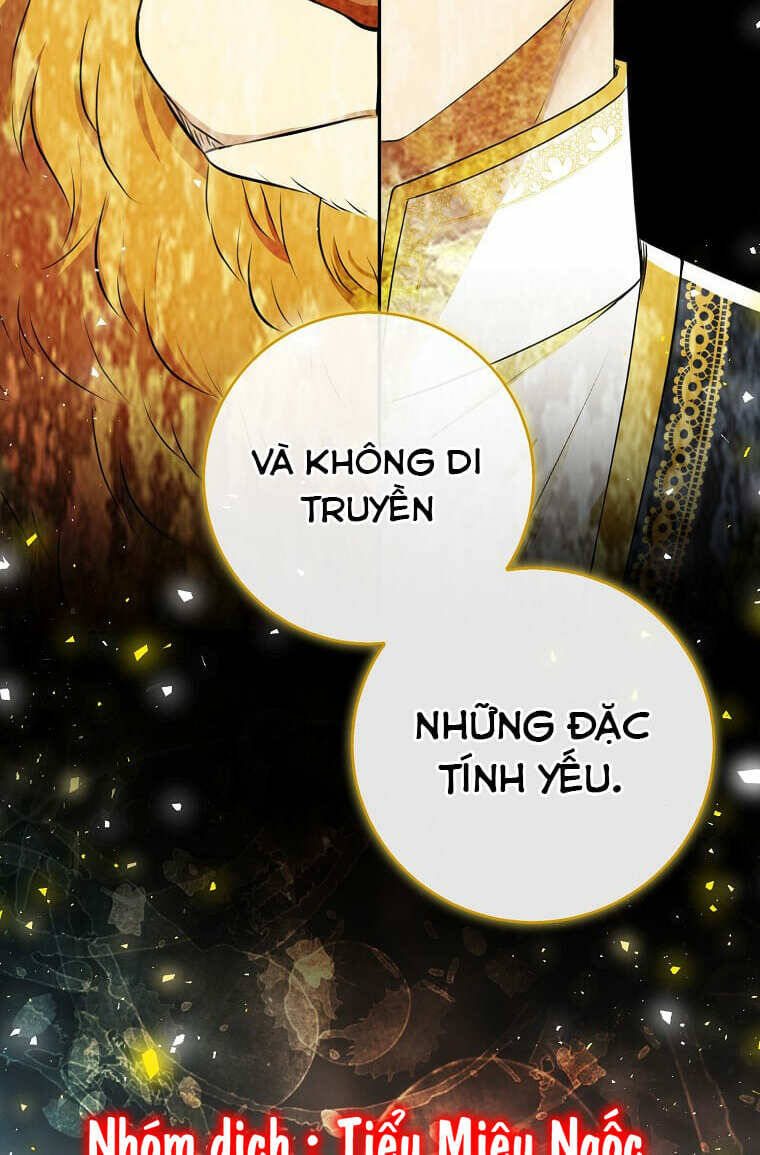 Sóc Nhỏ Tài Năng Chap 73 - Next Chap 74