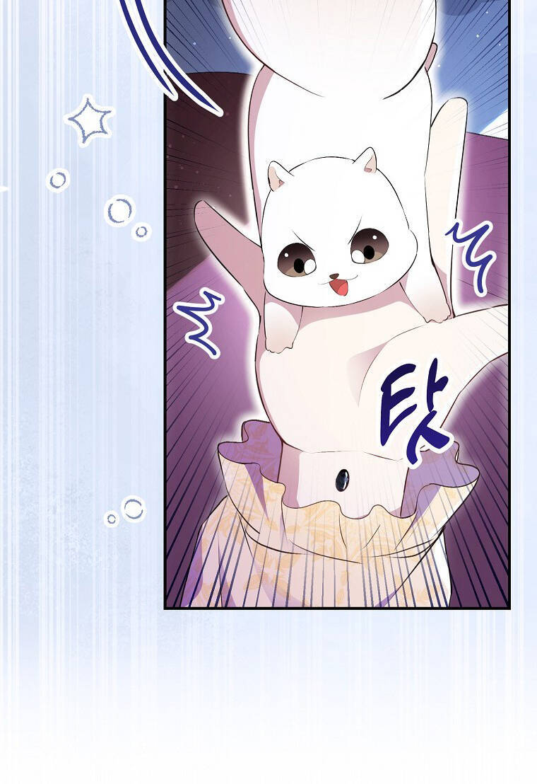 Sóc Nhỏ Tài Năng Chap 73 - Next Chap 74