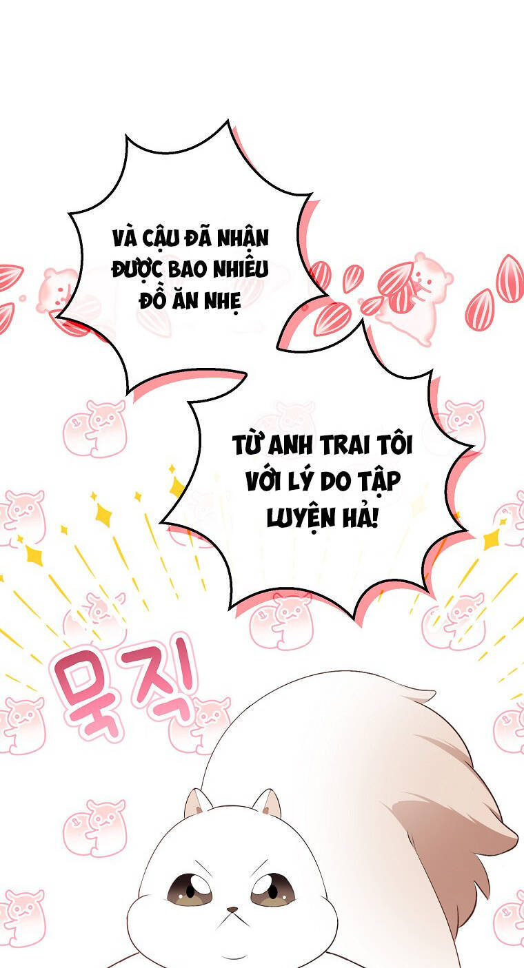 Sóc Nhỏ Tài Năng Chap 73 - Next Chap 74