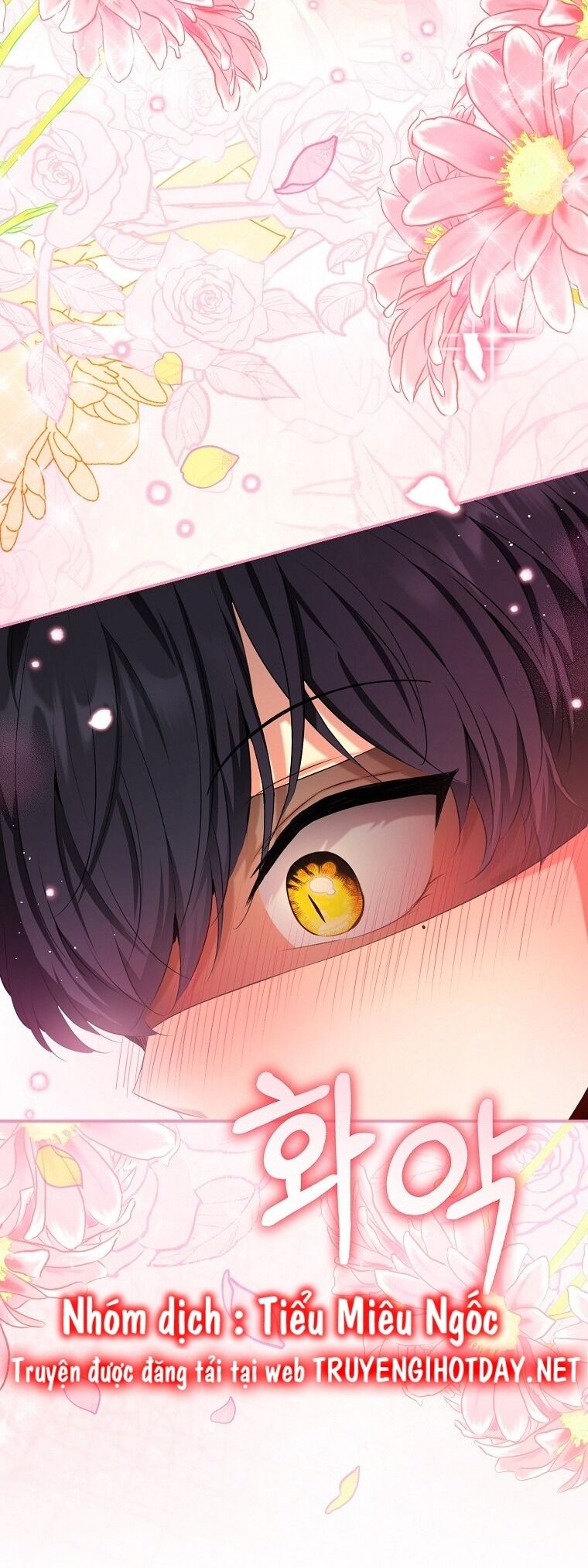 Sóc Nhỏ Tài Năng Chap 76 - Next Chap 77
