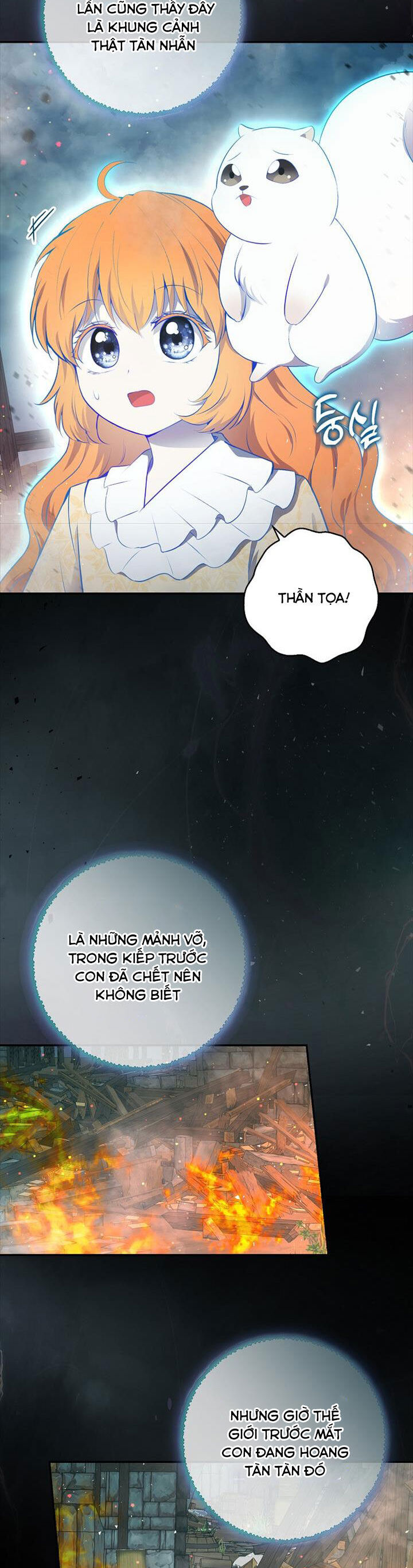 Sóc Nhỏ Tài Năng Chap 77 - Next Chap 78