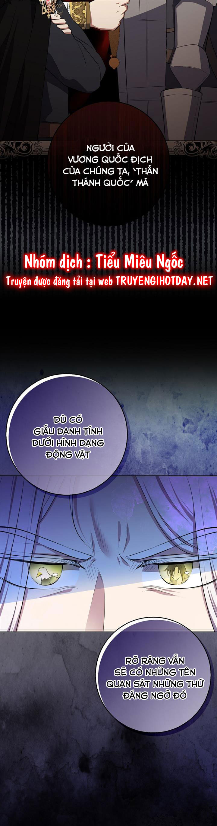 Sóc Nhỏ Tài Năng Chap 77 - Next Chap 78
