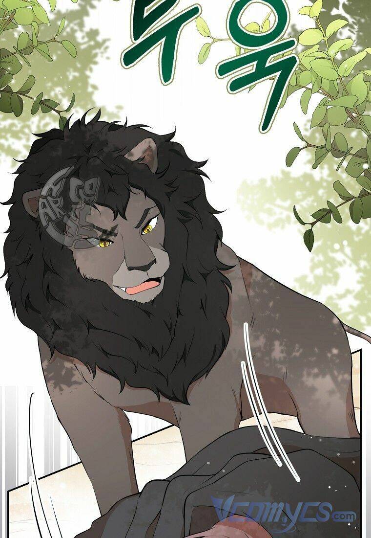 Sóc Nhỏ Tài Năng Chap 8 - Next Chap 9