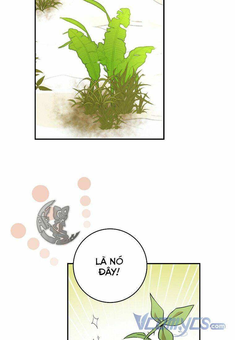 Sóc Nhỏ Tài Năng Chap 8 - Next Chap 9