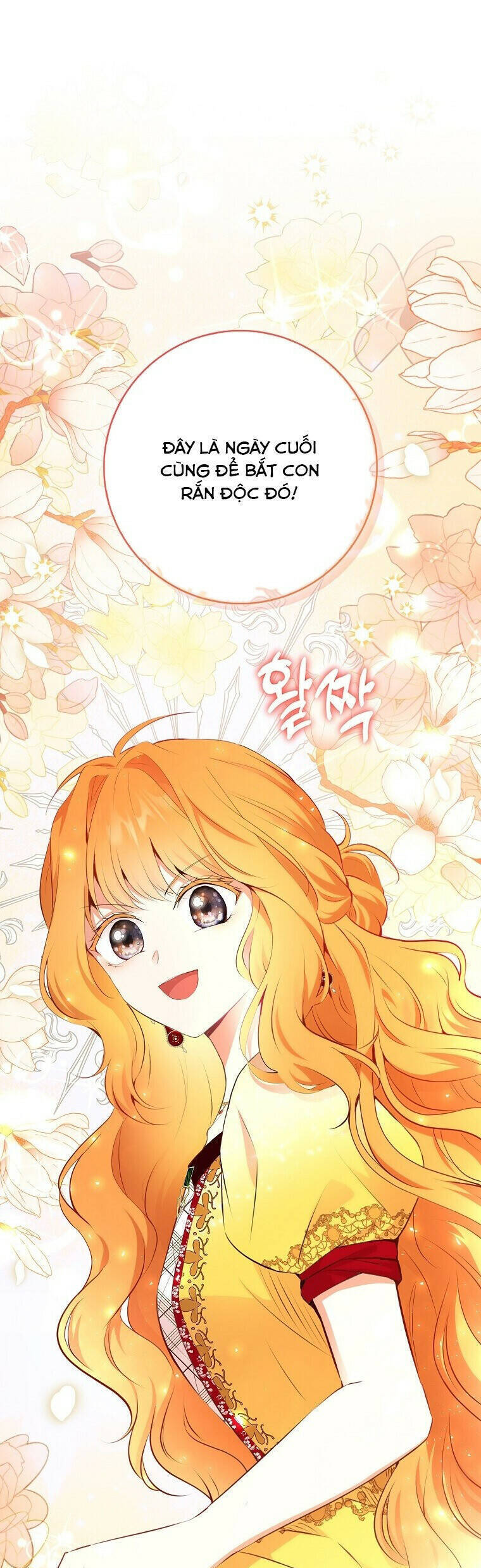 Sóc Nhỏ Tài Năng Chap 87 - Next Chap 88