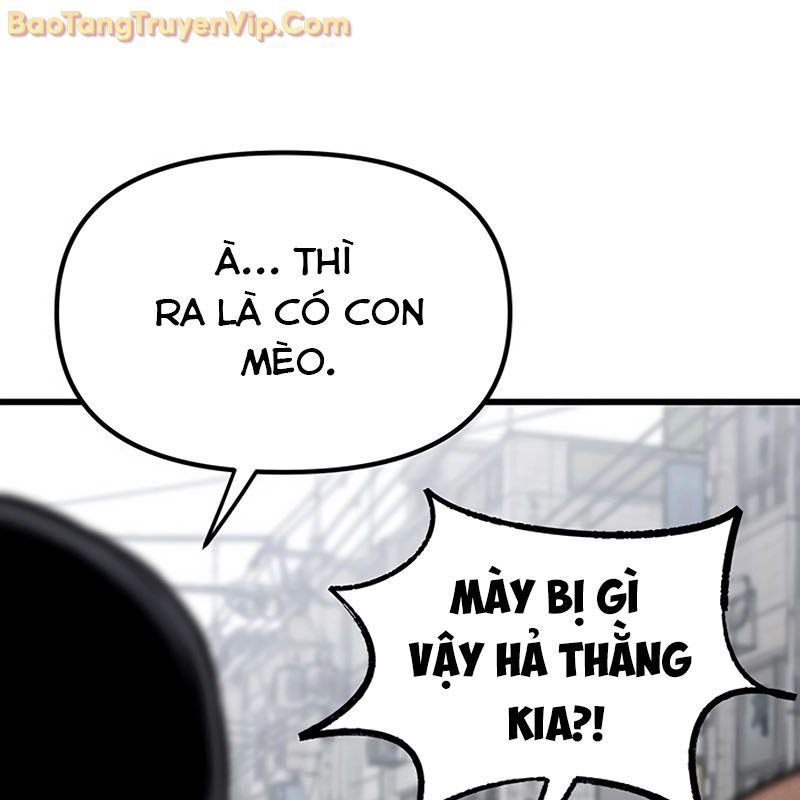 Sự Bí Ẩn Của Học Sinh Chuyển Trường Chap 0 - Next Chap 1