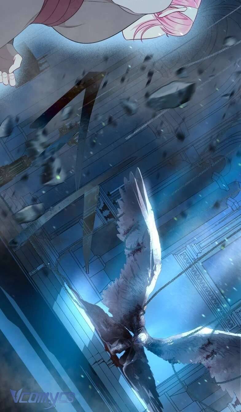 Sự Điều Trị Đặc Biệt Của Tinh Linh Chap 72 - Next Chap 73