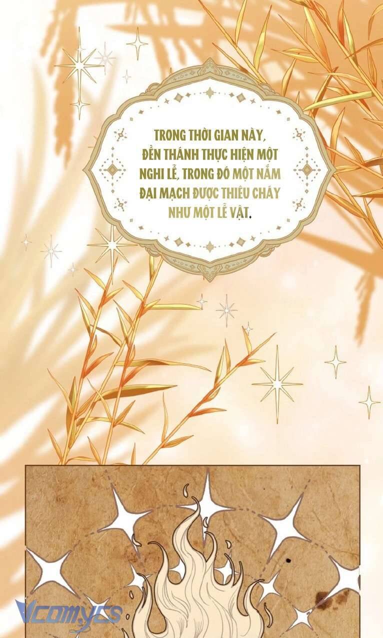 Sự Điều Trị Đặc Biệt Của Tinh Linh Chap 84 - Next Chap 85