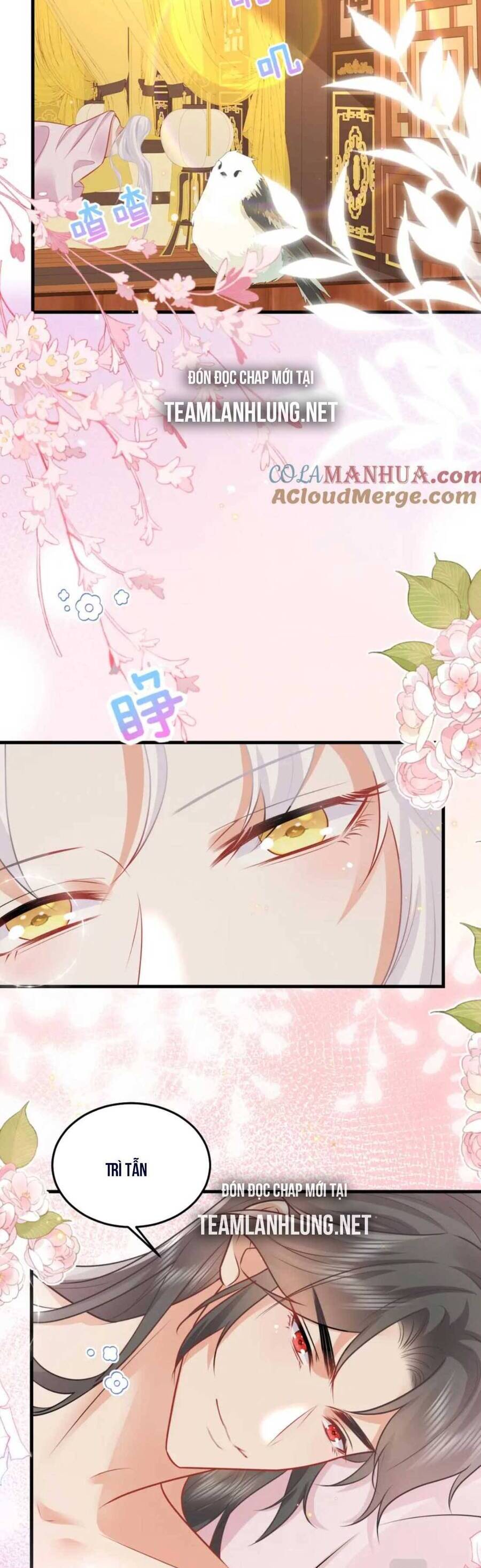 Sư Phụ Ta Muốn Người Là Của Riêng Ta Chap 64 - Next Chap 65