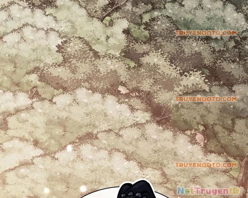Sư Tôn: Nghịch Đồ Này Mới Không Phải Là Thánh Tử Chap 116 - Next Chap 117