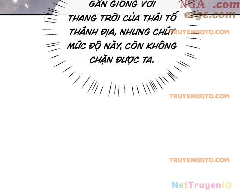 Sư Tôn: Nghịch Đồ Này Mới Không Phải Là Thánh Tử Chap 117 - Next Chap 118