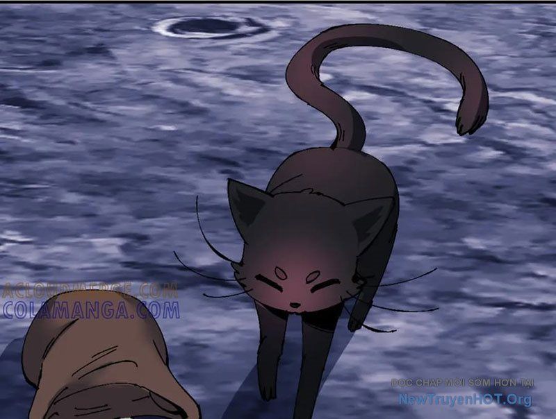 Sư Tôn: Nghịch Đồ Này Mới Không Phải Là Thánh Tử Chap 138 - Next Chap 139