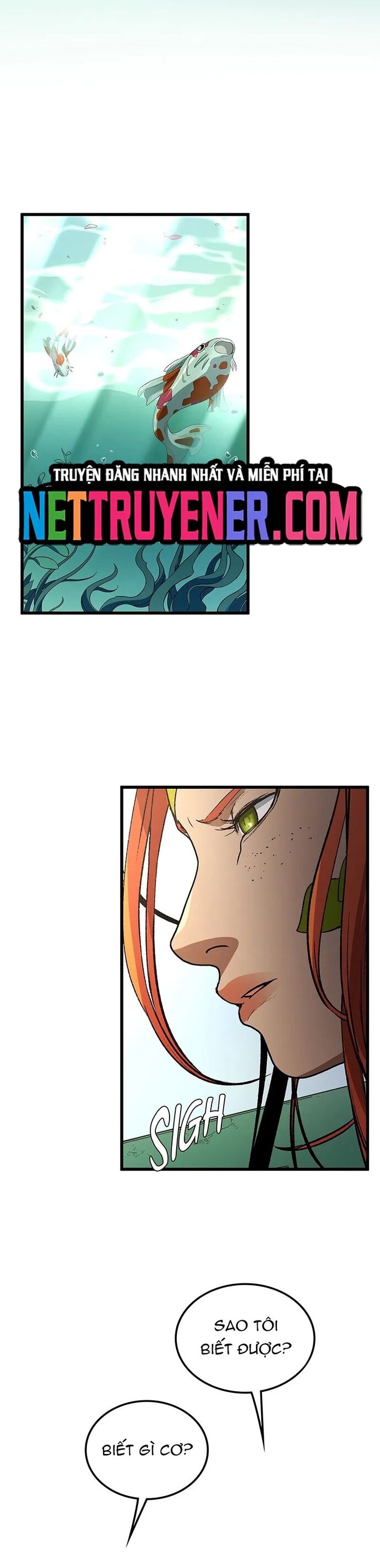 Sự Trở Lại Của Giáo Sư Runebound Chap 35 - Next Chap 36