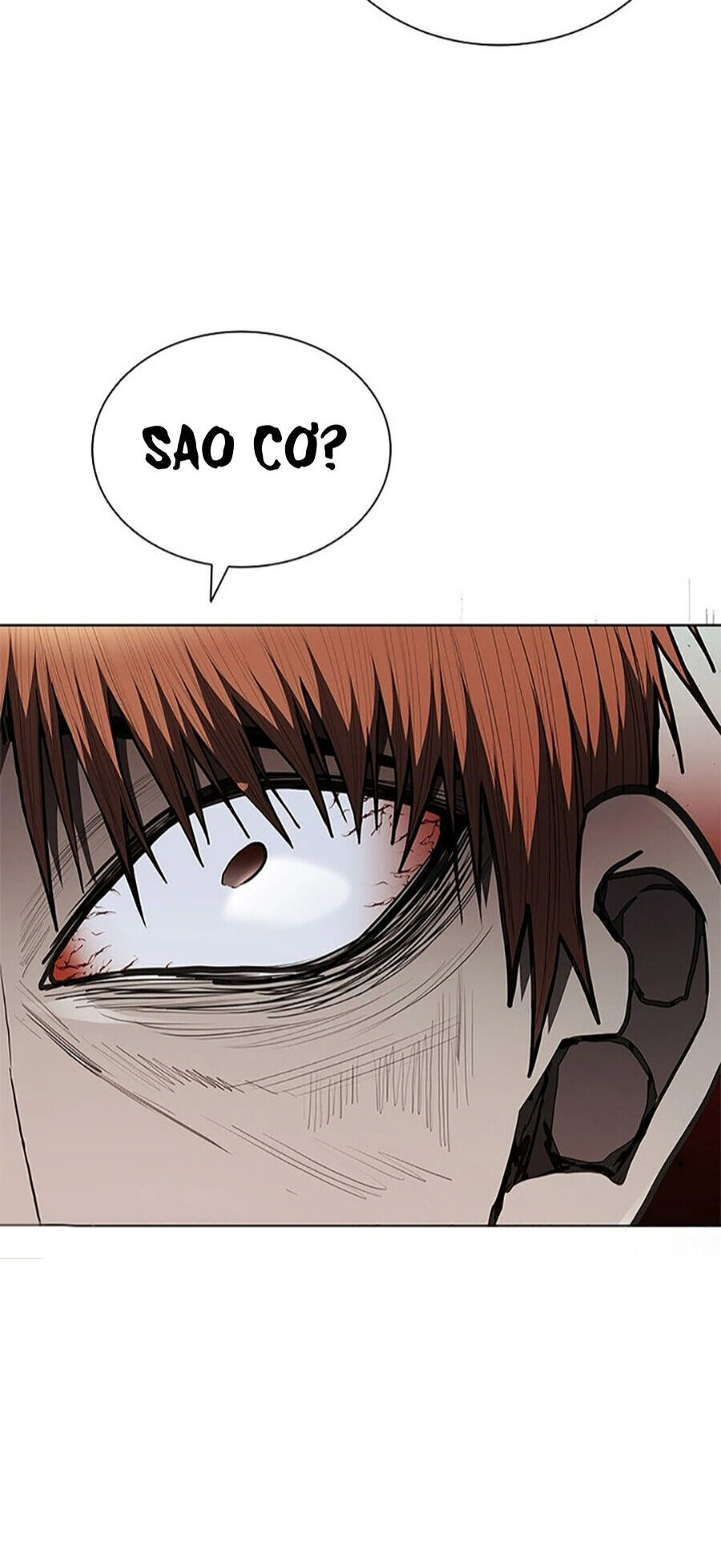 Sự Trở Lại Của Ông Trùm Chap 20 - Next Chap 21