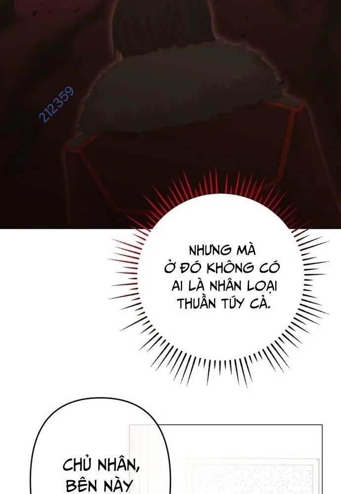 Sự Trở Lại Của Quỷ Vương Cấp Sss Chap 13 - Next Chap 14