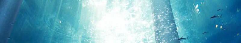 Sức Mạnh Tối Đa? Ta Lại Là Vong Linh Sư! Chap 61 - Next Chap 62