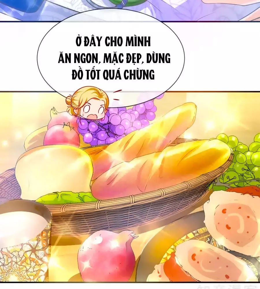 Sủng Hậu Của Vương Chap 0 - Next Chap 1