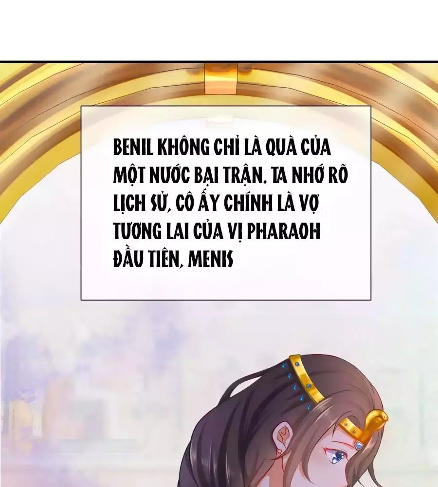 Sủng Hậu Của Vương Chap 0 - Next Chap 1