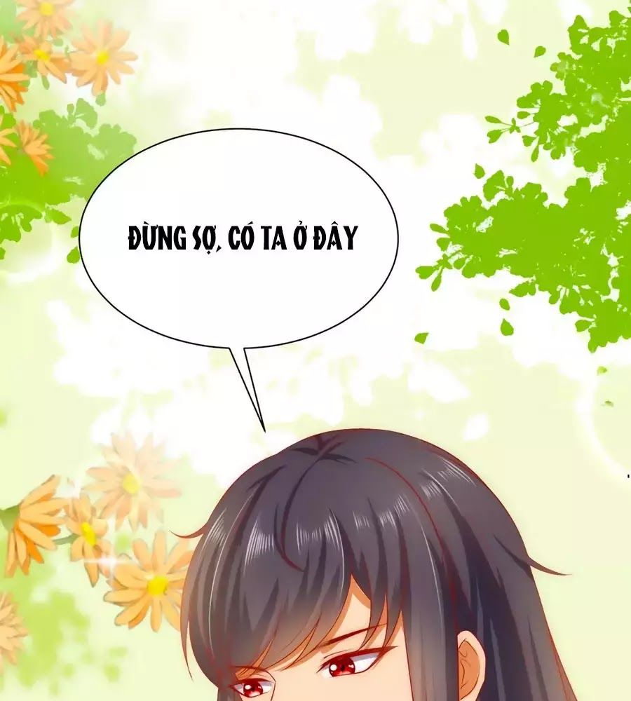 Sủng Hậu Của Vương Chap 0 - Next Chap 1