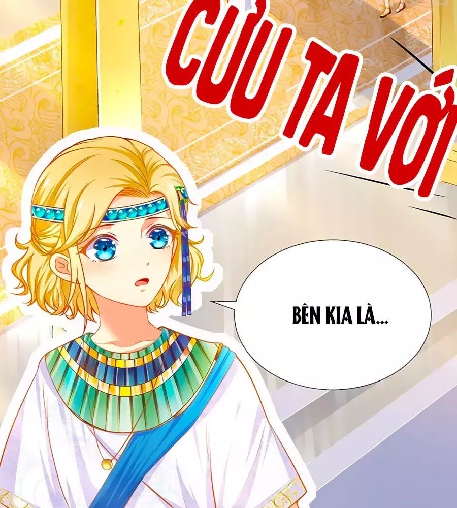 Sủng Hậu Của Vương Chap 1 - Next Chap 2