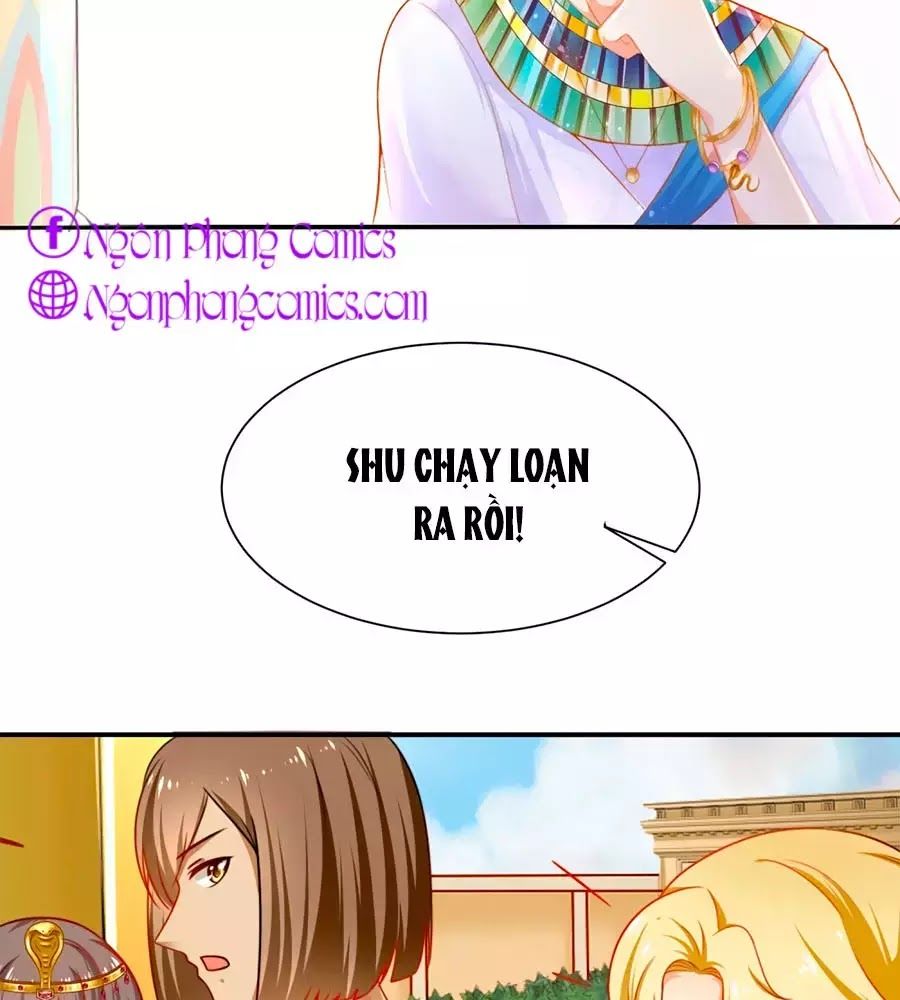 Sủng Hậu Của Vương Chap 1 - Next Chap 2