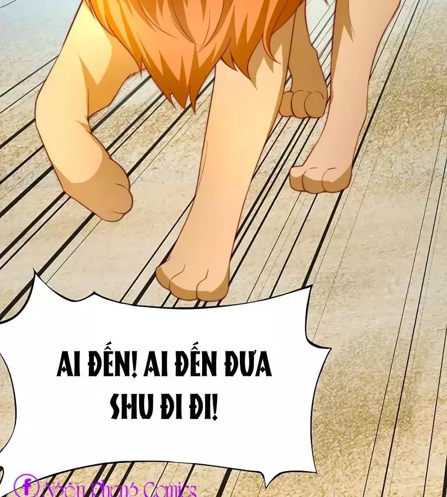 Sủng Hậu Của Vương Chap 1 - Next Chap 2