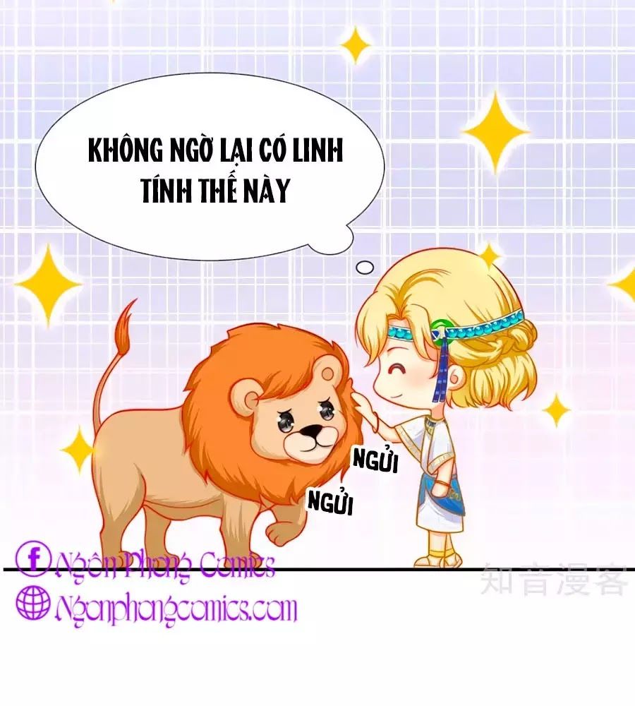 Sủng Hậu Của Vương Chap 1 - Next Chap 2