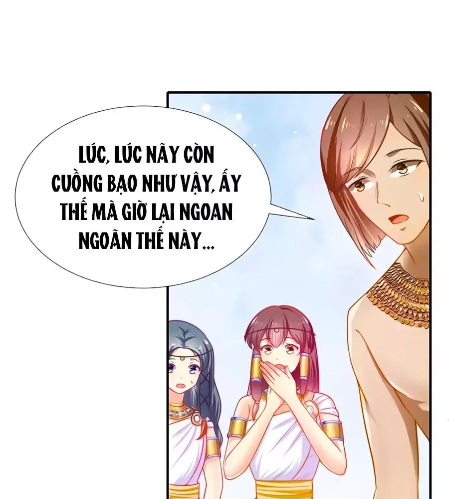 Sủng Hậu Của Vương Chap 1 - Next Chap 2
