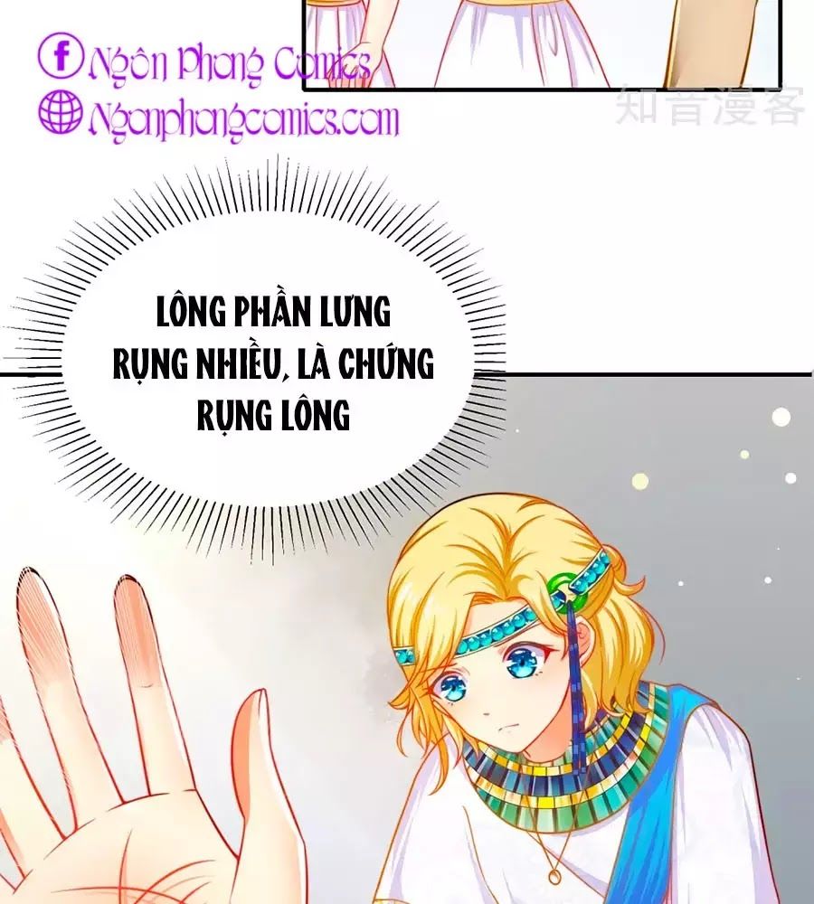 Sủng Hậu Của Vương Chap 1 - Next Chap 2