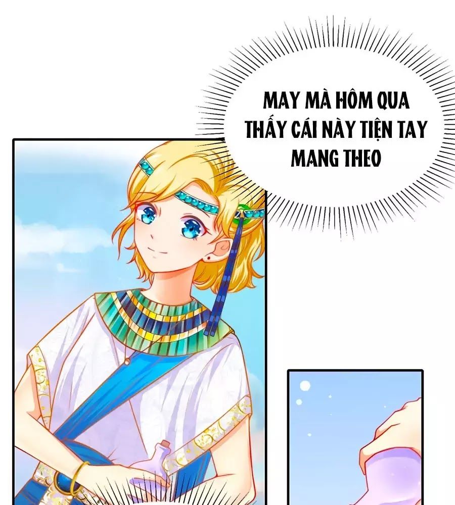 Sủng Hậu Của Vương Chap 1 - Next Chap 2