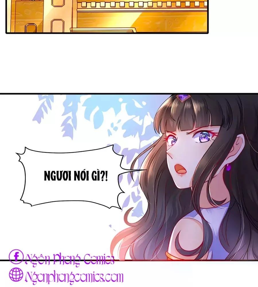 Sủng Hậu Của Vương Chap 1 - Next Chap 2