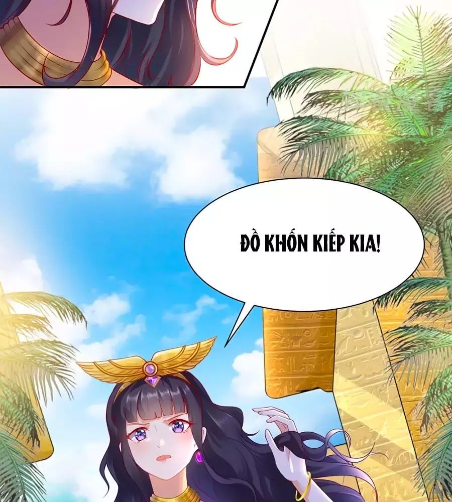 Sủng Hậu Của Vương Chap 2 - Next Chap 3