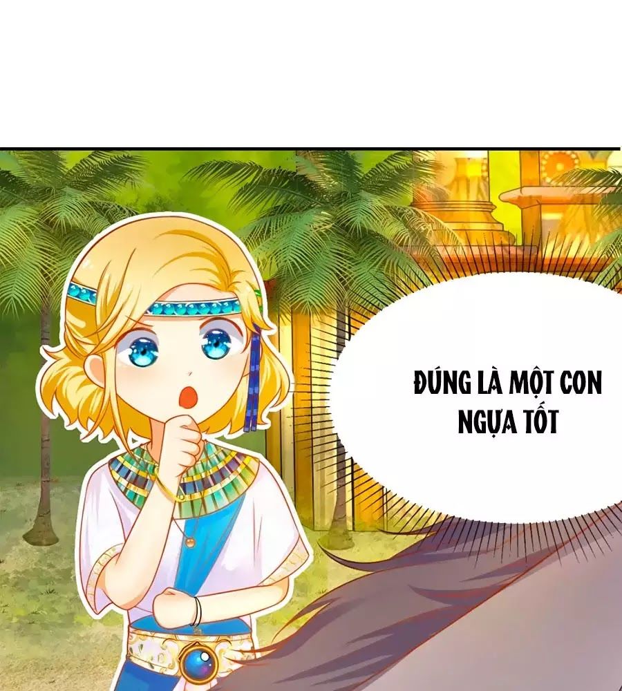 Sủng Hậu Của Vương Chap 2 - Next Chap 3